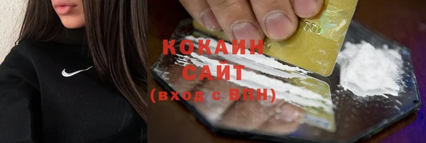 соль ск Алзамай