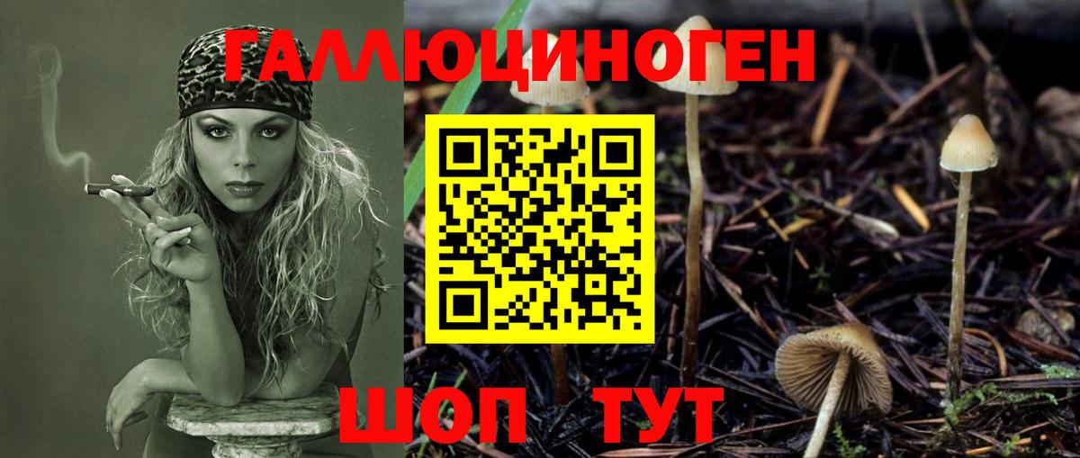 Добрянка  Псилоцибиновые грибы Psilocybine cubensis  Вход с VPN  Псилоцибиновые грибы Cubensis 